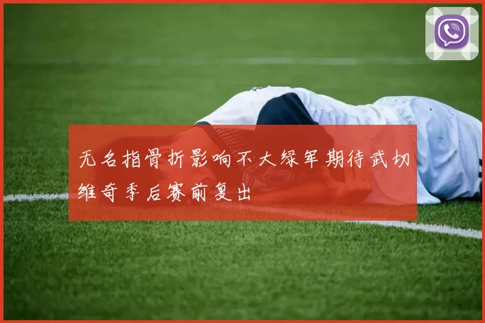 无名指骨折影响不大绿军期待武切维奇季后赛前复出